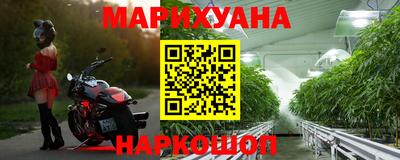 гашик Кунгур