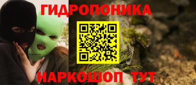 гашик Кунгур