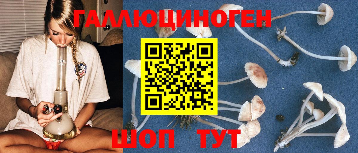 Галлюциногенные грибы мухоморы Ишим